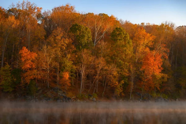Wiele Pięknych Jesiennych Drzew Odbija Się Jeziorze — Zdjęcie stockowe