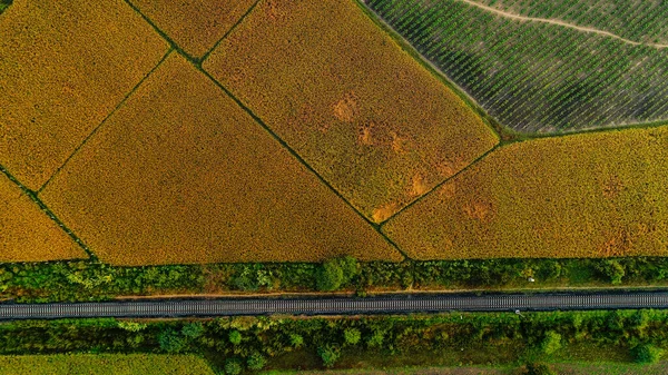 Vista Aérea Campos Com Verde Amarelo Colorido Cultura — Fotografia de Stock