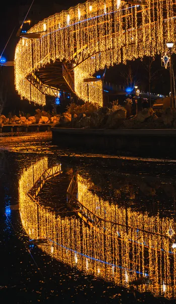 Colpo Verticale Ponte Decorato Con Belle Luci Suo Riflesso Notte — Foto Stock