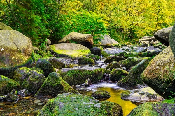 Rough Algae Covered Boulders Oker River Bed Engagement Island Harz — Stock fotografie