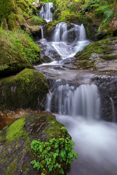Mesmerizing View Waterfall Green Forest — Stock fotografie