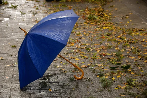 Ombrello Blu Una Strada Bagnata Giorno Pioggia — Foto Stock