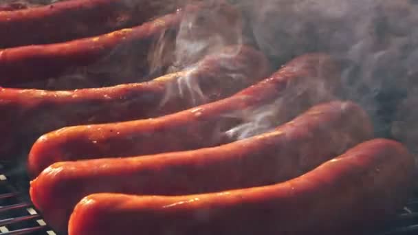 Grilled Sausages Barbecue Grill — Stock Video