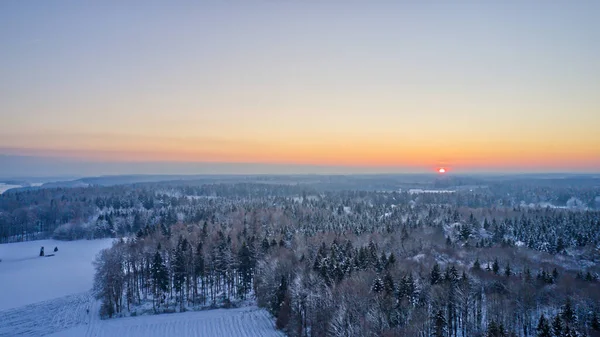 Piękny Widok Zimowego Krajobrazu Drzewami Roślinami Pokrytymi Śniegiem Zachodzie Słońca — Zdjęcie stockowe
