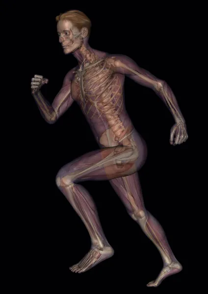 Vertical Model Running Human Body Black Background — Stock Photo, Image