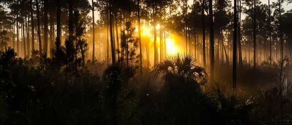 Чудовий Краєвид Заходу Сонця Національному Парку Еверґлейдс Флорида — стокове фото