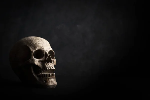 Siyah Arka Planda Yakın Plan Bir Kafatası Fotoğrafı — Stok fotoğraf