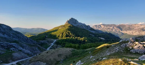 Plan Panoramique Une Route Qui Traverse Les Belles Forêts Montagne — Photo