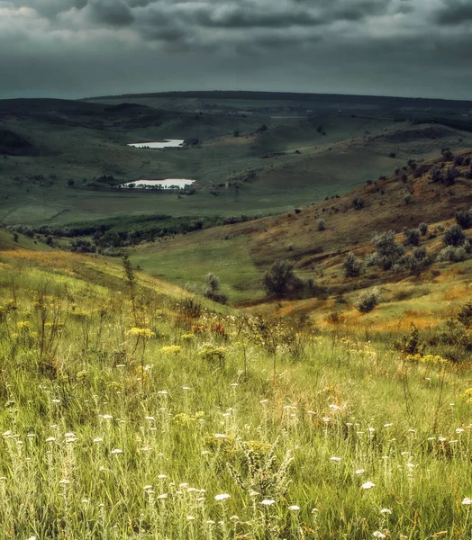 Пагорбистий Краєвид Зеленими Полями Деревами Під Хмарним Небом Молдові — стокове фото