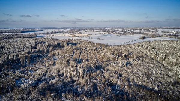 美丽的冬季风景 树木和植物被雪覆盖 — 图库照片