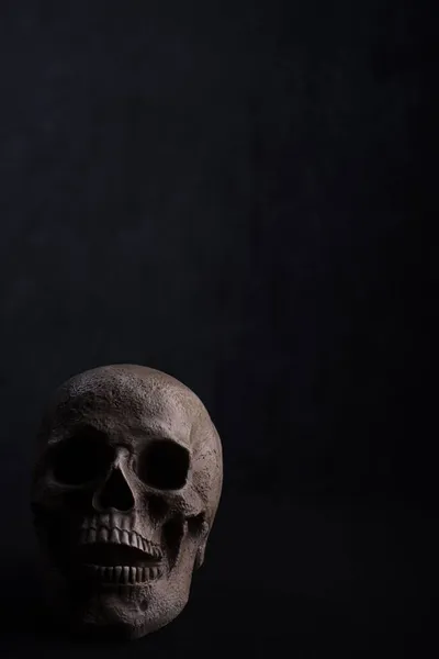 Vertical Shot Skull Black Background — Stock Photo, Image