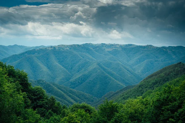 ルーマニアの丘の上の緑の木の風景の空中写真 — ストック写真