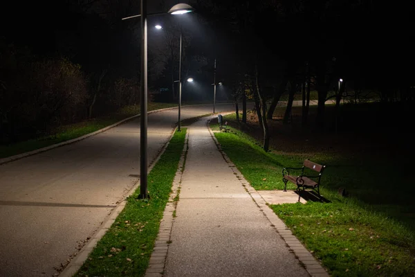 街灯に照らされた暗い夜の公園内の道 — ストック写真