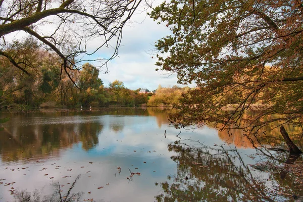 Ein Schöner See Herbst Durch Die Dichten Bäume — Stockfoto