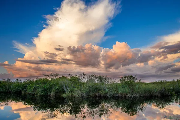 Uma Vista Hipnotizante Parque Nacional Everglades Flórida Pôr Sol — Fotografia de Stock