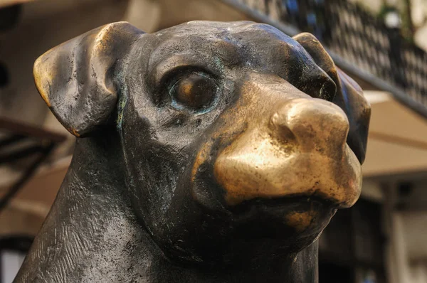 Eine Nahaufnahme Des Gesichts Einer Hundestatue — Stockfoto