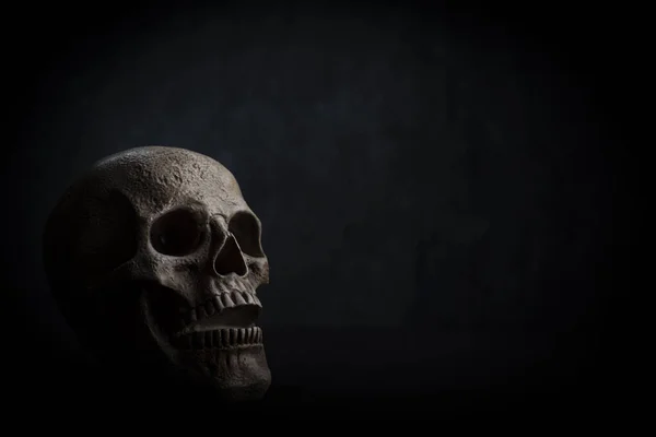 黒い背景の頭蓋骨のクローズアップショット — ストック写真
