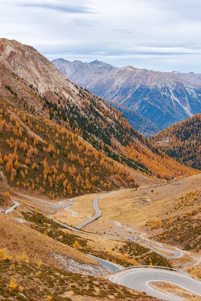 Plan Vertical Paysages Rocheux Avec Des Conifères Colorés Sur Des — Photo