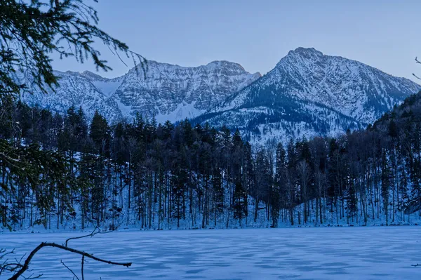 Vacker Utsikt Över Ett Vinterlandskap Med Träd Och Växter Täckta — Stockfoto