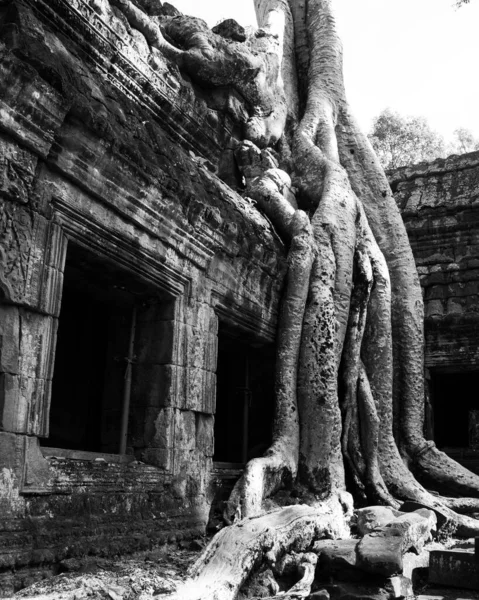 Phrom Dikey Gri Tonlarında Kamboçya Daki Terk Edilmiş Mini Tapınağı — Stok fotoğraf