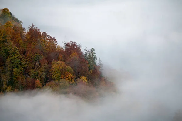 Krásný Výhled Mlhavé Mraky Obklopující Podzimní Stromy Kopci — Stock fotografie