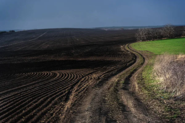 緑のフィールドの背景に耕されたフィールド 脂っこいチェルノゼムモルドバの収穫 — ストック写真