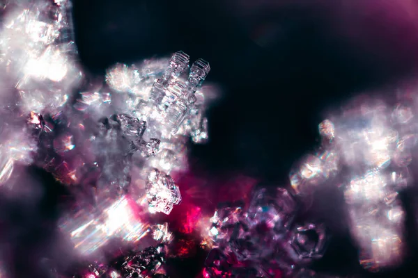 Μια Μακροσκοπική Λήψη Ροζ Φώτων Που Λάμπουν Από Τον Πάγο — Φωτογραφία Αρχείου