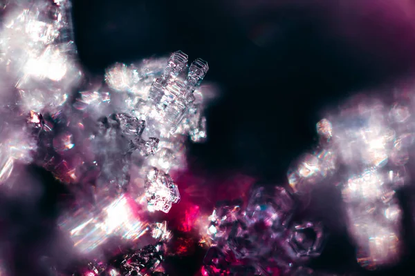 Macro Shot Pink Lights Shining Frost — Stock Photo, Image