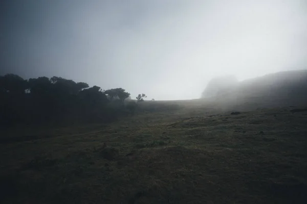 Paysage Naturel Une Colline Sous Ciel Brumeux — Photo