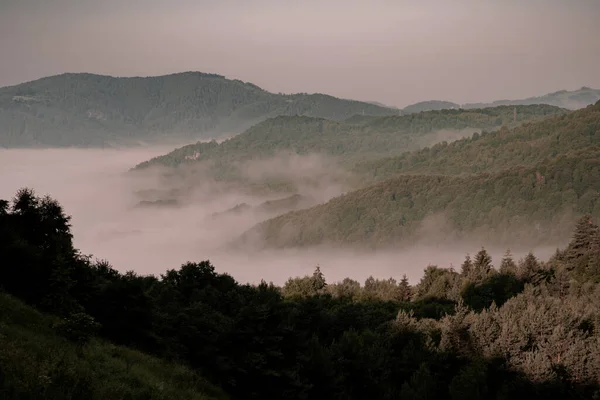 Flygbild Dimmig Morgon Skogarna Rumänien — Stockfoto