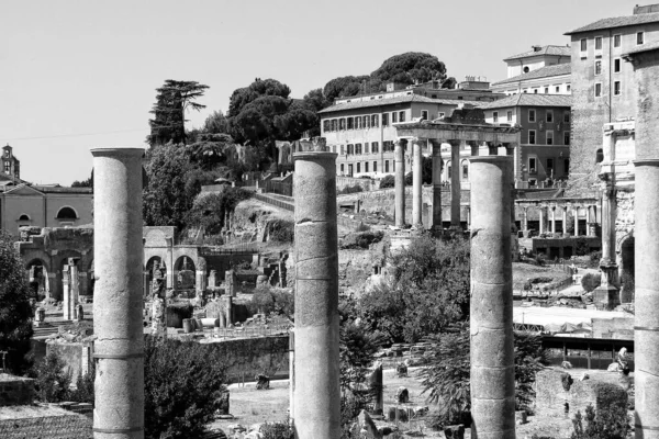 Grayscale Shot Ruins Ancient Roman Forum Sunny Day Rome Italy — Stock Photo, Image