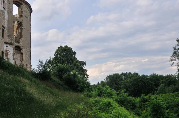 Grünfläche Der Nähe Der Alten Burg Janowiec Einem Bewölkten Tag — Stockfoto