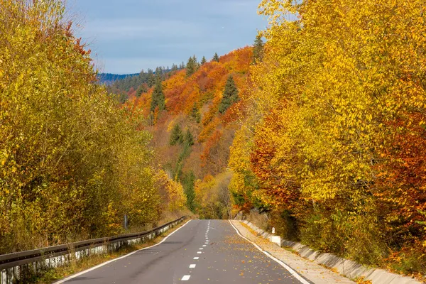 Prosta Droga Przez Kolorowe Drzewa Wzgórzach — Zdjęcie stockowe