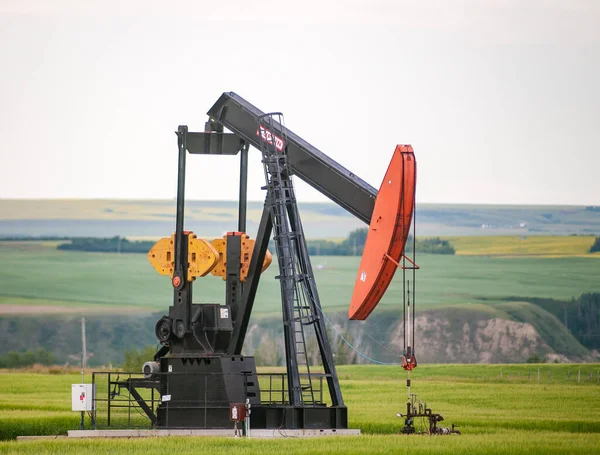 Drumheller Canada Jun 2021 Oliepomp Jack Een Rijpingsveld Van Canola — Stockfoto