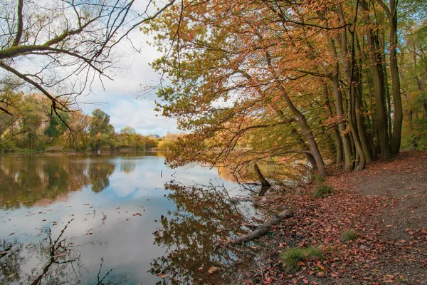 Eine Wunderschöne Herbstlandschaft Mit Teich Und Bunten Bäumen — Stockfoto