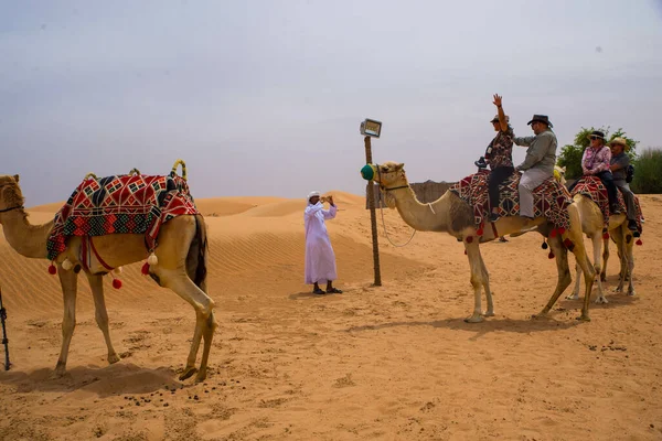 Dubai Förenade Arab Emirater Oktober 2021 Grupp Turister Rider Kameler — Stockfoto