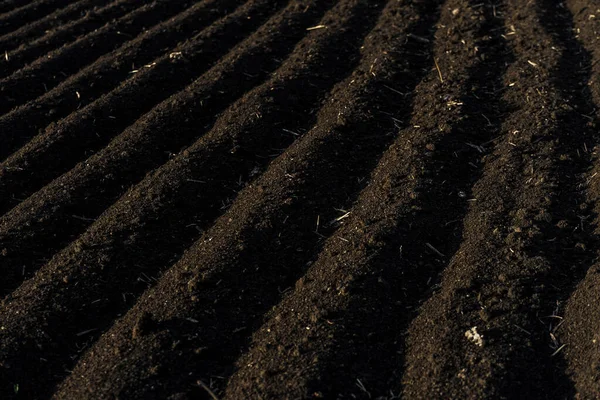 Een Close Shot Van Vruchtbare Donkere Grond Een Geploegd Veld — Stockfoto