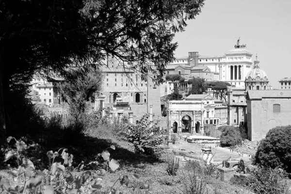 在意大利罗马一个阳光灿烂的日子拍摄的古罗马论坛遗址灰度照片 — 图库照片