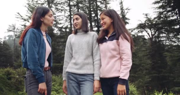 Kvinnliga Vänner Tillbringar Tid Tillsammans Skogen — Stockvideo