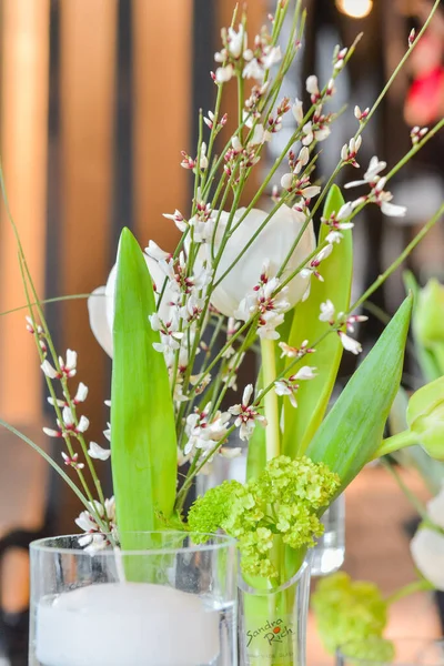 Vertikal Bild Vackra Genista Cytisus Blommor Vasen Med Andra Blommor — Stockfoto