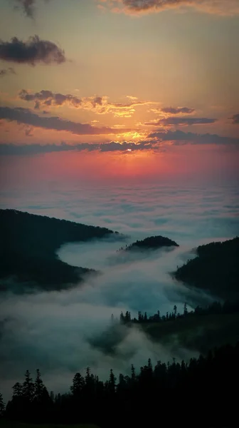 Aerial View Green Mountains Covered Fluffy Clouds Gleaming Sunset — стоковое фото