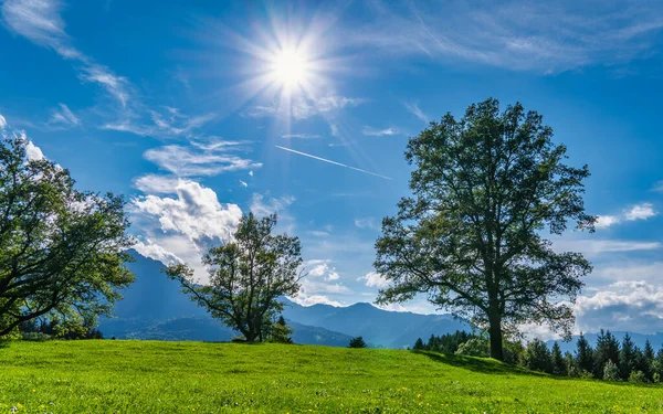 Blue Sky Green Field Mountain Range Sunny Day — Φωτογραφία Αρχείου