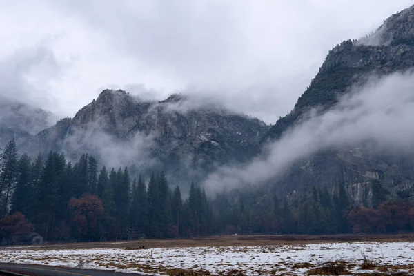Landscape Colorful Trees Yosemite National Park Foggy Gloomy Day California — Stock Fotó
