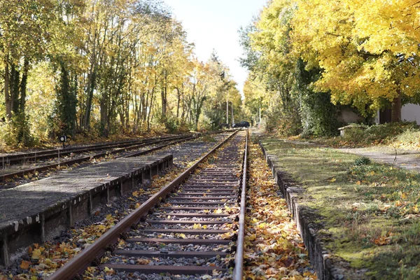 Beautiful Shot Railway Road Middle Forest Season Autumn — Stock Fotó