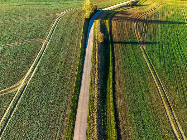 Een Luchtfoto Van Een Prachtig Veld Met Een Lange Weg — Stockfoto