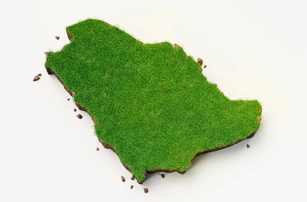 草や地の質感を持つ地図の3Dイラスト — ストック写真