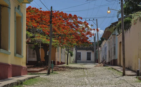 Beautiful City View Colorful Houses Trinidad Santi Spiritus Cuba — 图库照片