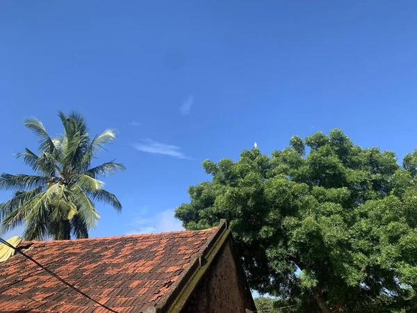 Ein Landschaftsblick Auf Ein Dach Und Bäume — Stockfoto