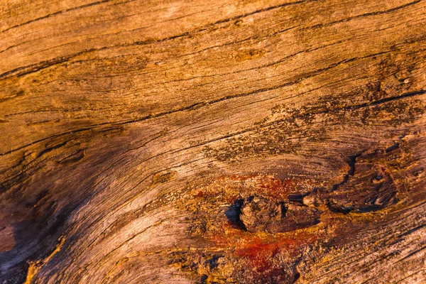 Macro Scatto Legno Splendidamente Strutturato Durante Ora Oro — Foto Stock