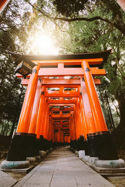 Bupionowe Ujęcie Budynku Fushimi Inari Taisha Kioto Japonia — Zdjęcie stockowe